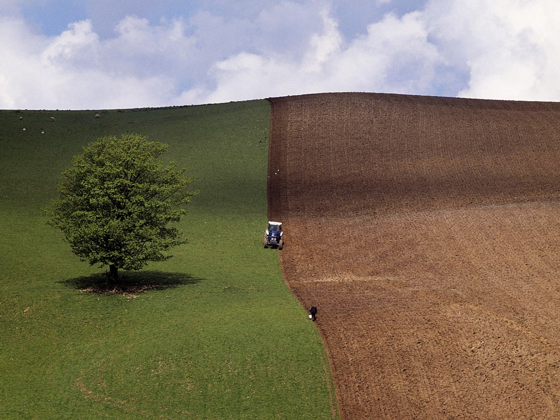 Spring Ploughing for 1152 x 864 resolution