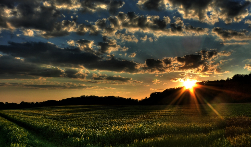 Spring Sunset for 1024 x 600 widescreen resolution