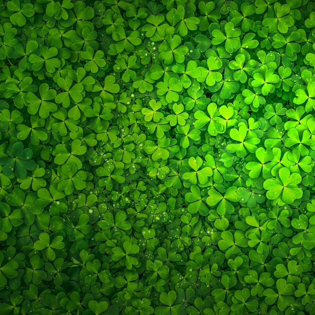 St Patrick's Day for 1024 x 1024 iPad resolution