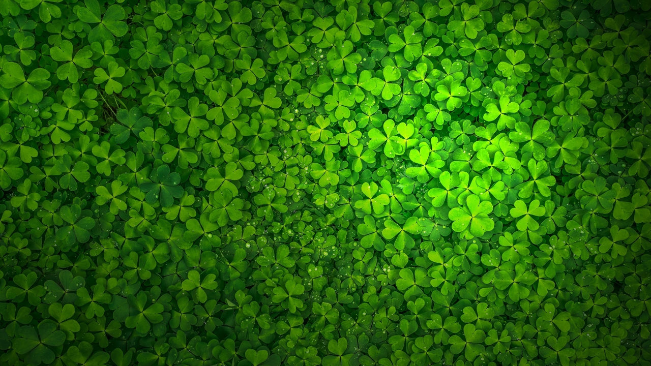 St Patrick's Day for 1280 x 720 HDTV 720p resolution