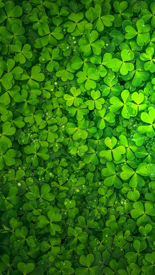 St Patrick's Day for 640 x 1136 iPhone 5 resolution