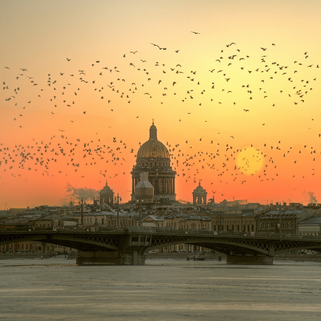 St. Petersburg for 1024 x 1024 iPad resolution