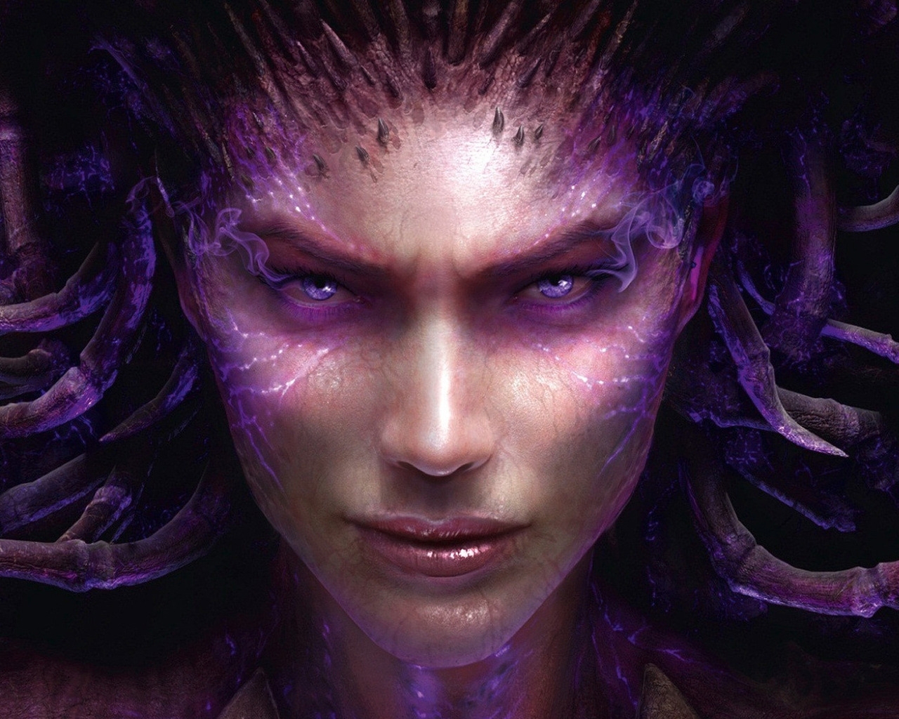 Starcraft 2 Heart of the Swarm for 1280 x 1024 resolution