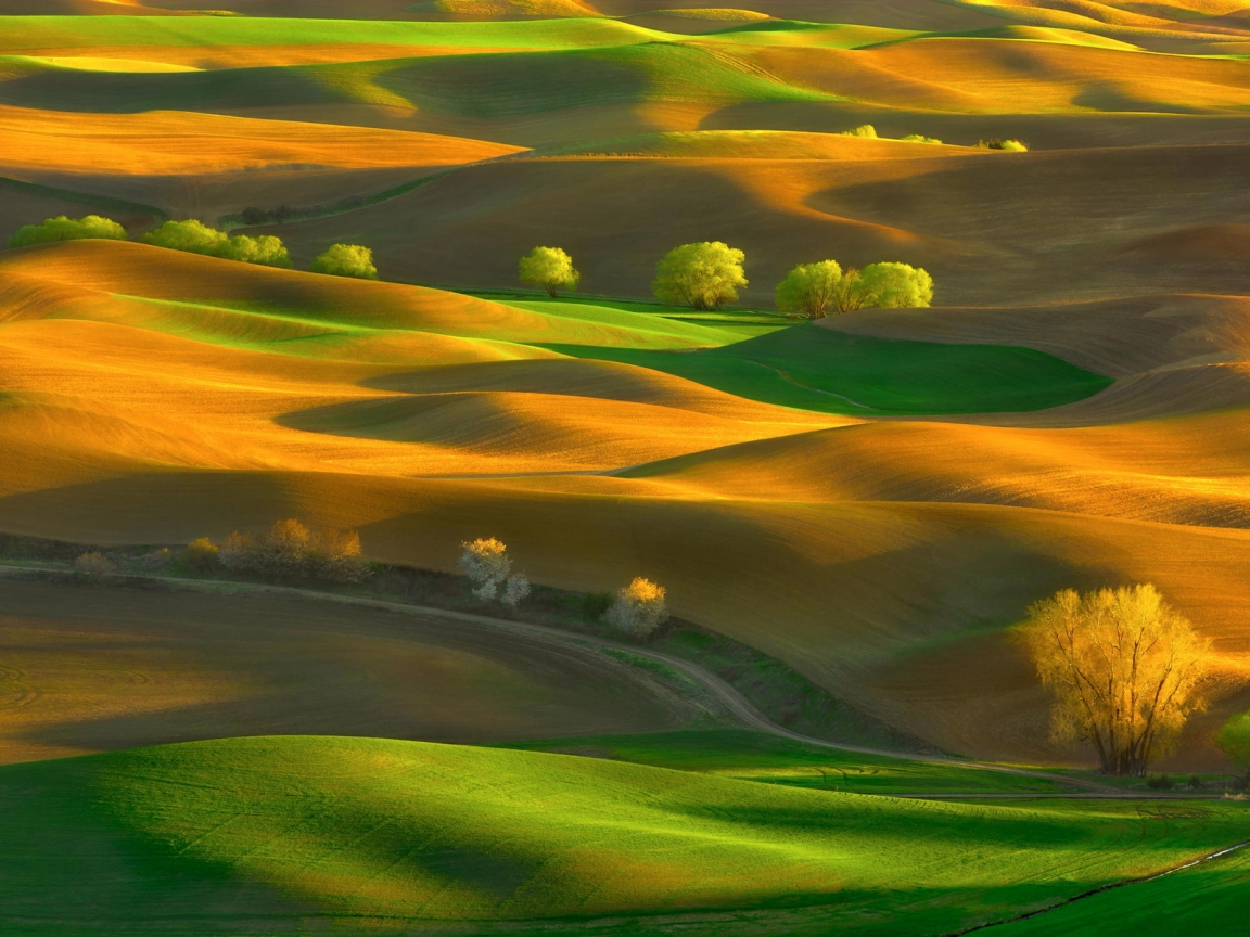 Steptoe Butte State Park Washington for 1152 x 864 resolution