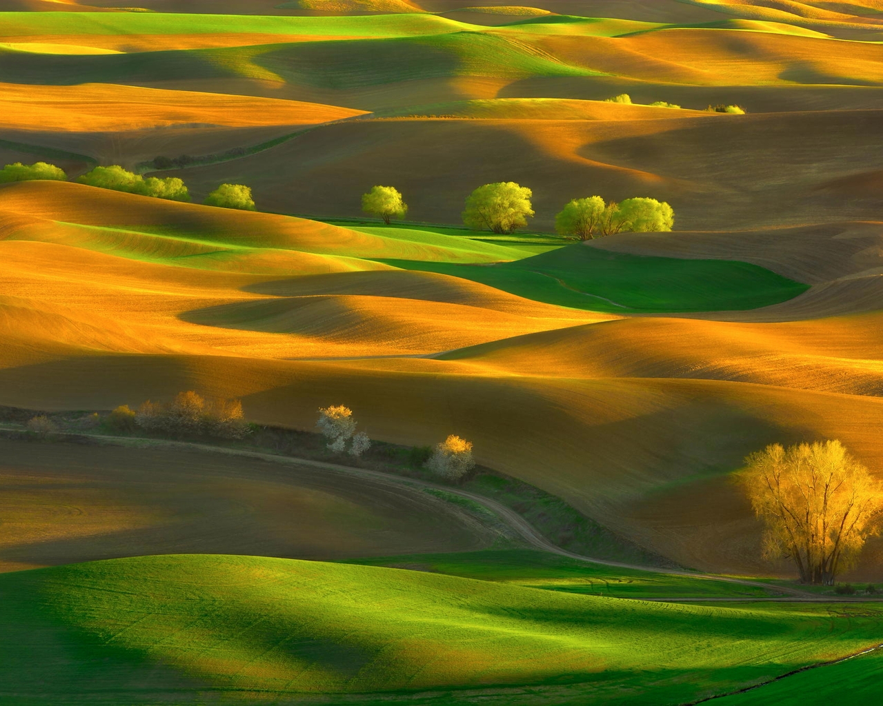 Steptoe Butte State Park Washington for 1280 x 1024 resolution