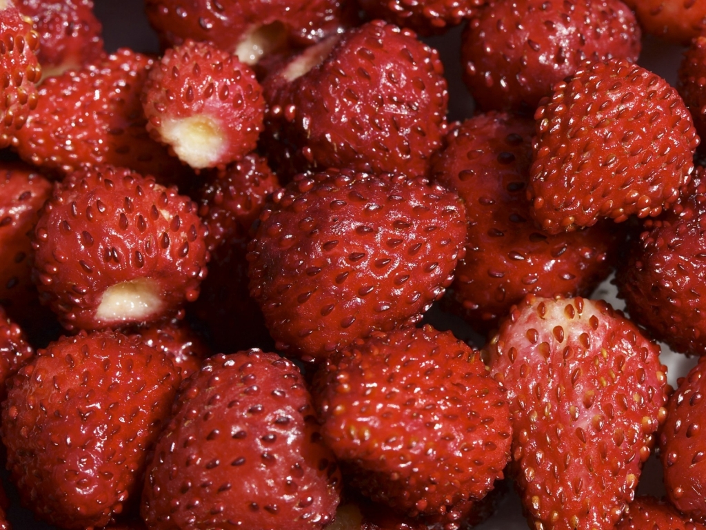 Strawberries for 1024 x 768 resolution