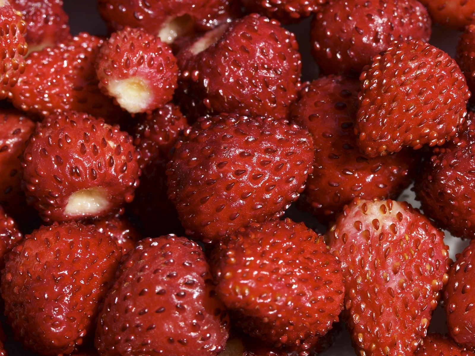Strawberries for 1600 x 1200 resolution
