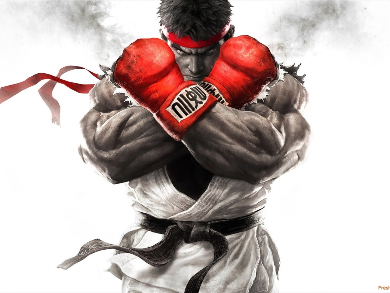 Street Fighter V for 1280 x 960 resolution