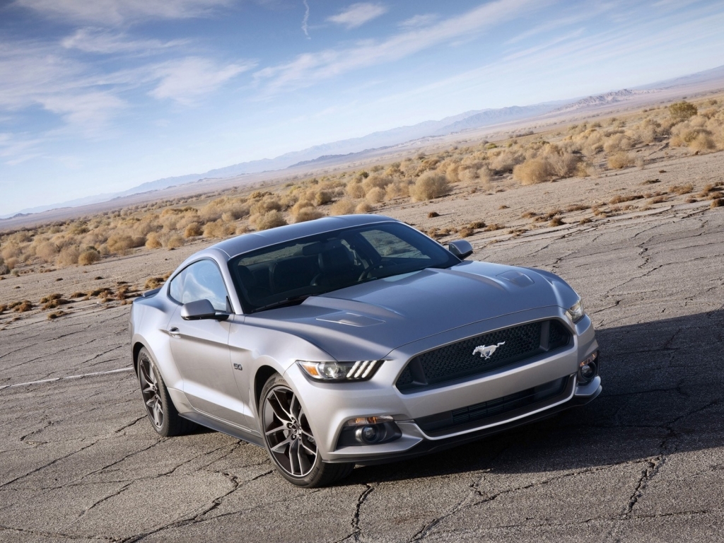 Stunning Grey Ford Mustang for 1024 x 768 resolution