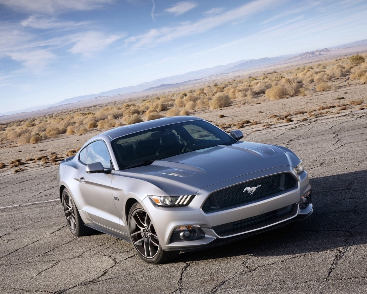 Stunning Grey Ford Mustang for 1280 x 1024 resolution