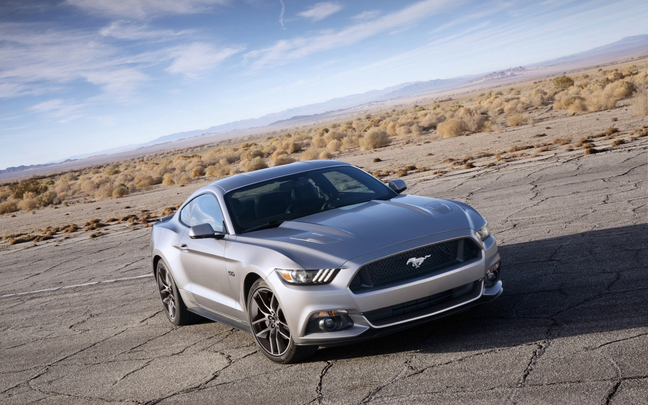 Stunning Grey Ford Mustang for 1280 x 800 widescreen resolution
