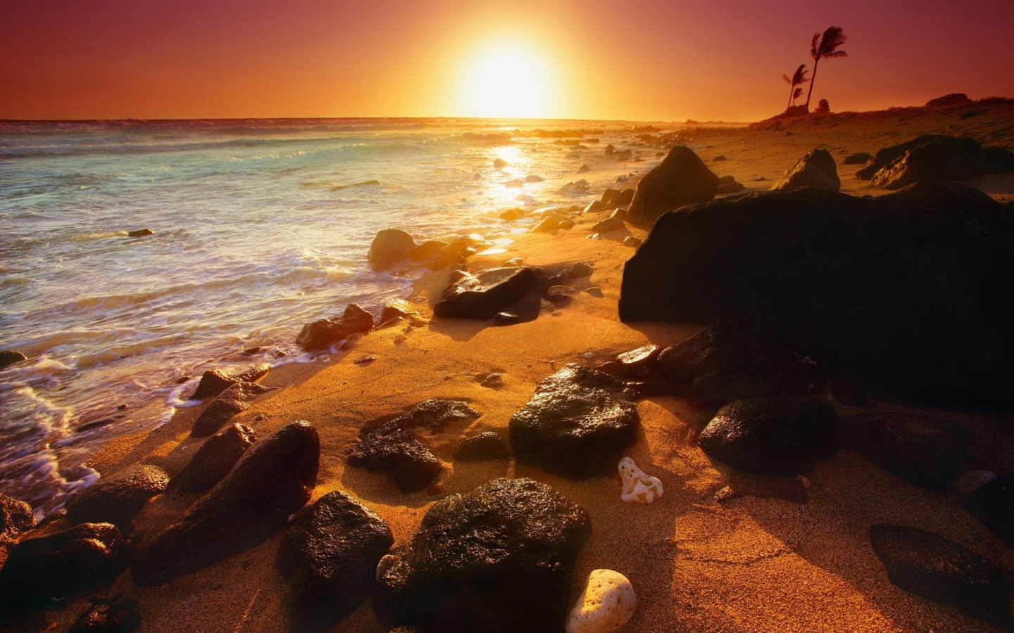 Summer beautiful sunset for 1440 x 900 widescreen resolution