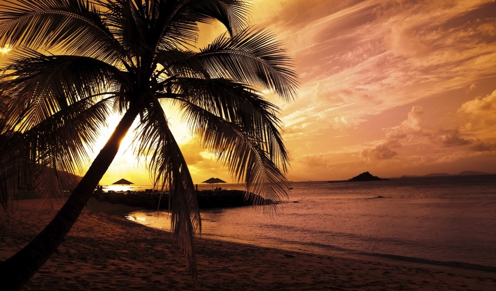 Summer beautiful twilight for 1024 x 600 widescreen resolution
