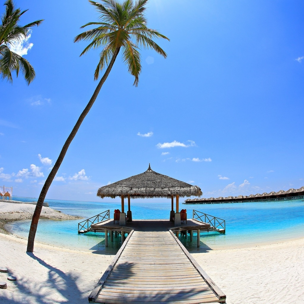Sunny Palm Beach Corner  for 1024 x 1024 iPad resolution