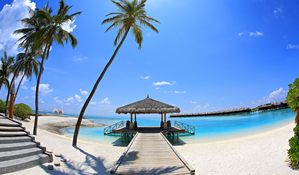 Sunny Palm Beach Corner  for 1024 x 600 widescreen resolution