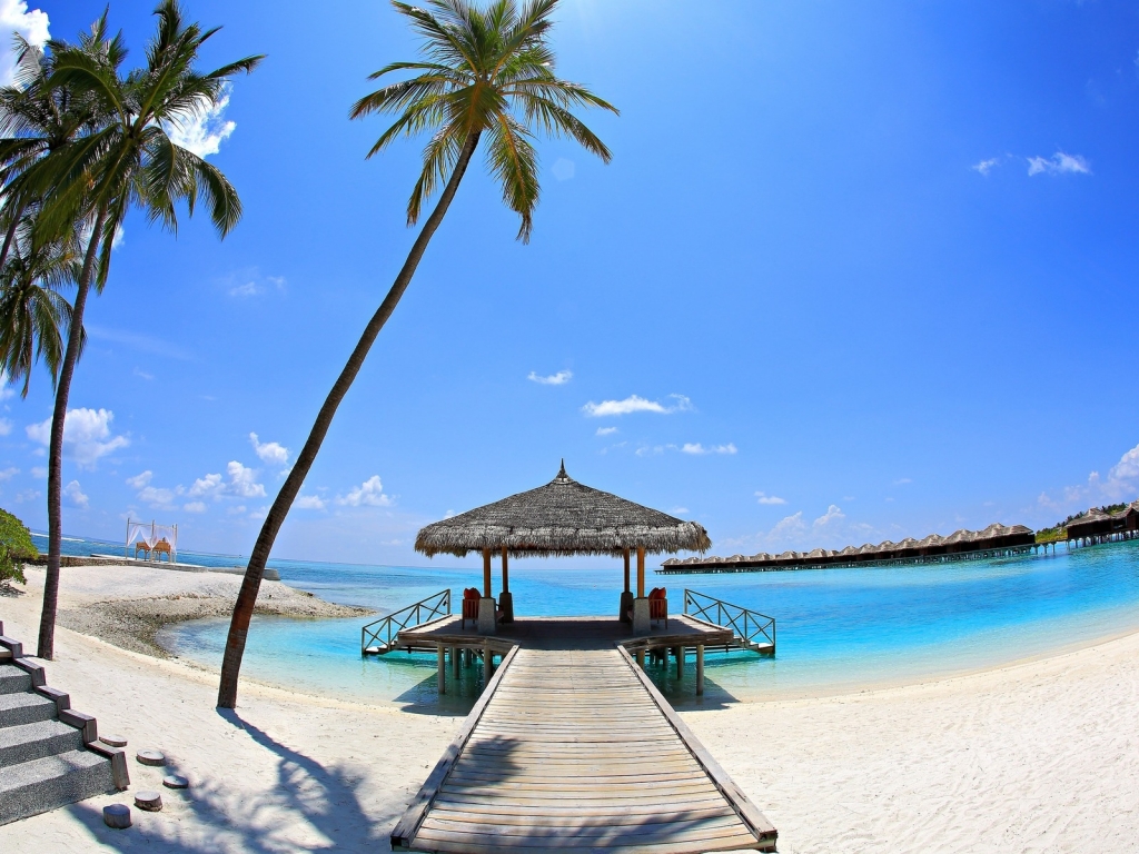 Sunny Palm Beach Corner  for 1024 x 768 resolution