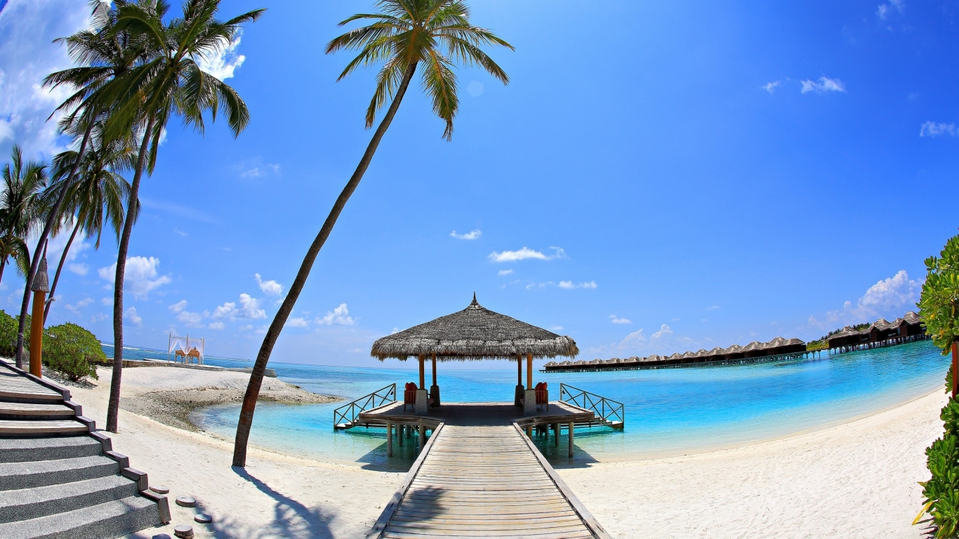 Sunny Palm Beach Corner  for 1366 x 768 HDTV resolution