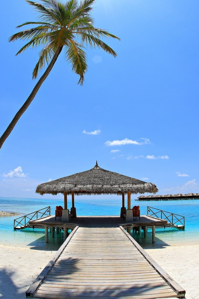Sunny Palm Beach Corner  for 640 x 960 iPhone 4 resolution