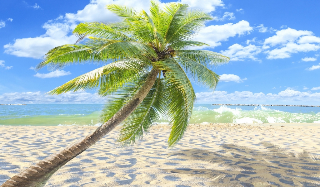 Sunny Tropical Beach  for 1024 x 600 widescreen resolution