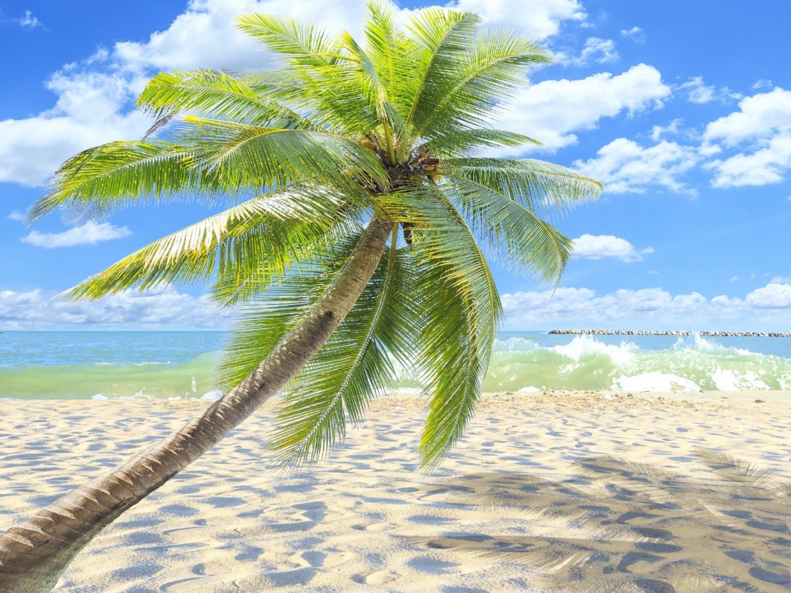 Sunny Tropical Beach  for 1152 x 864 resolution