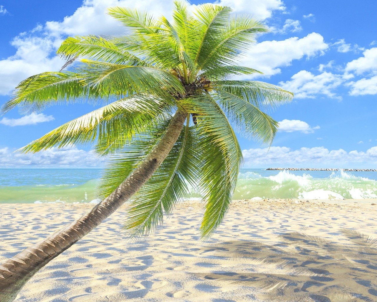 Sunny Tropical Beach  for 1280 x 1024 resolution