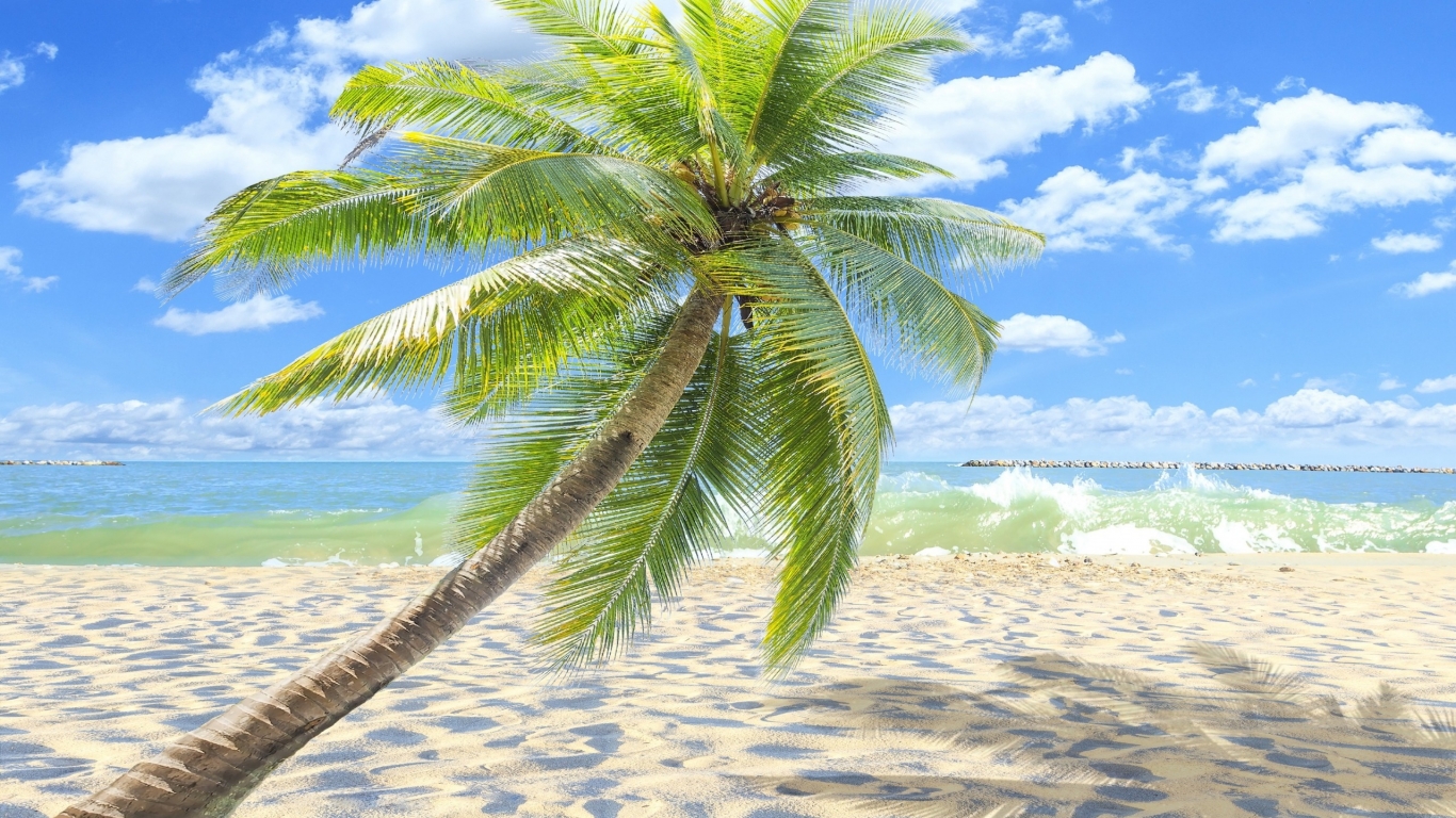Sunny Tropical Beach  for 1366 x 768 HDTV resolution