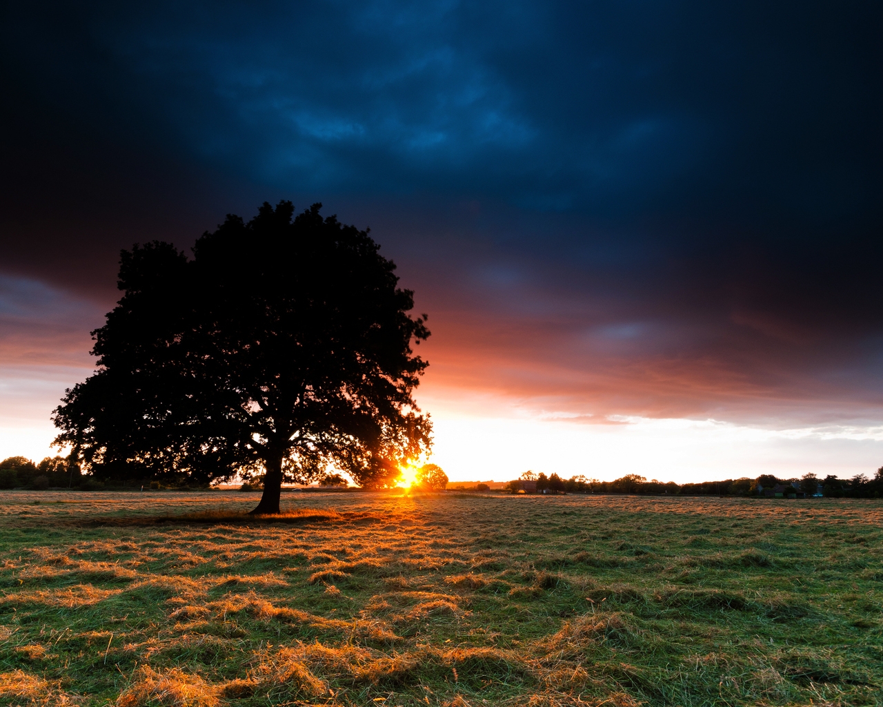 Sunset Behind the Tree for 1280 x 1024 resolution