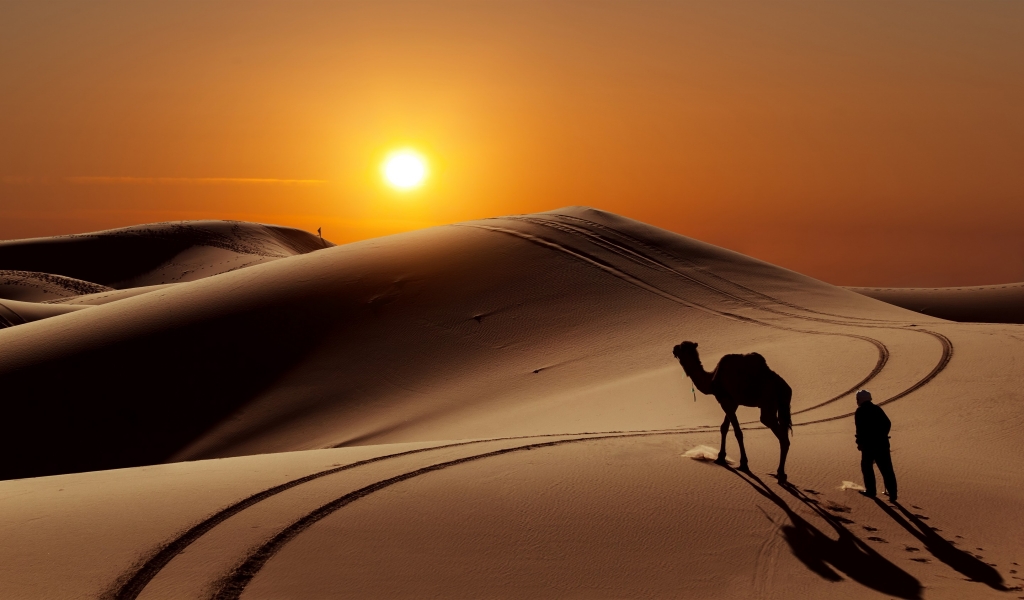 Sunset in Desert for 1024 x 600 widescreen resolution