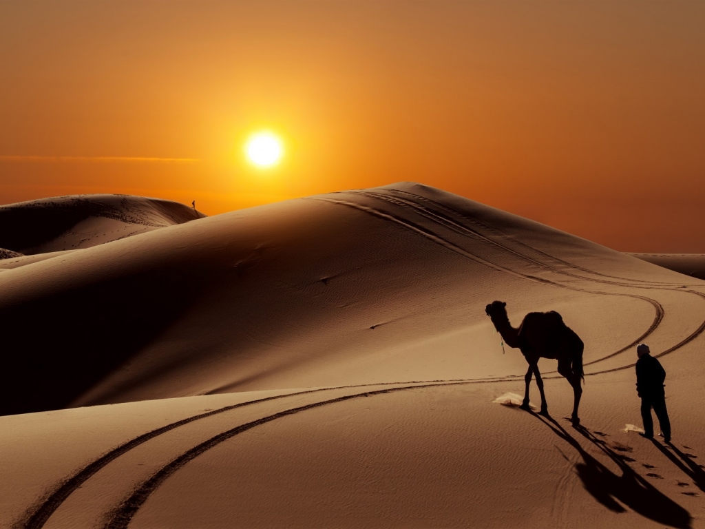 Sunset in Desert for 1024 x 768 resolution