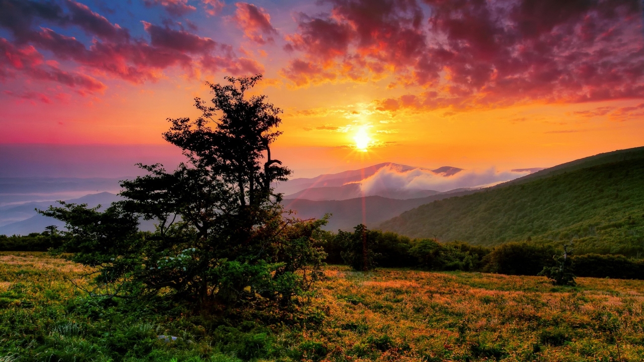 Sunset in North Carolina for 1280 x 720 HDTV 720p resolution