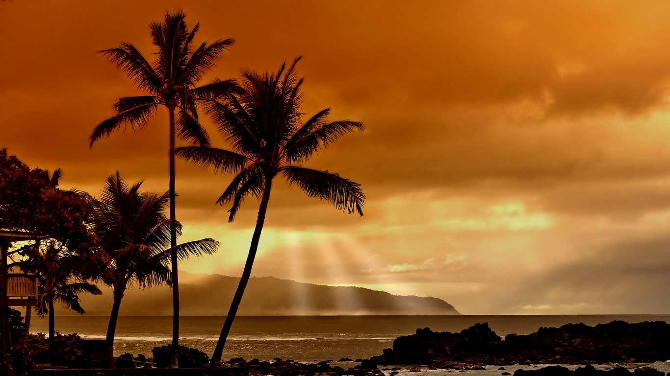 Sunset in the Tropics for 1366 x 768 HDTV resolution