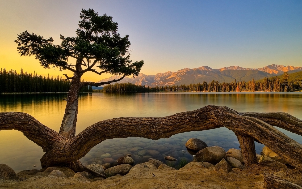 Superb Summer Landscape for 1280 x 800 widescreen resolution