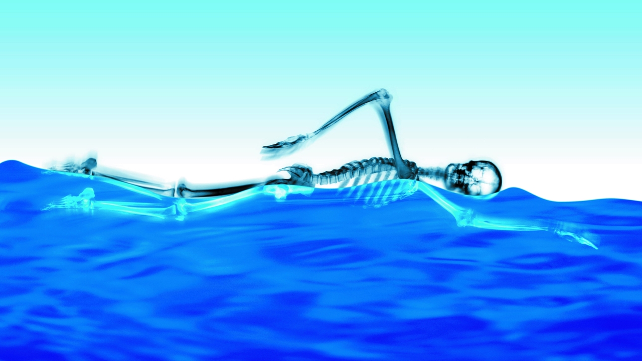 Swimming Skeleton for 1280 x 720 HDTV 720p resolution