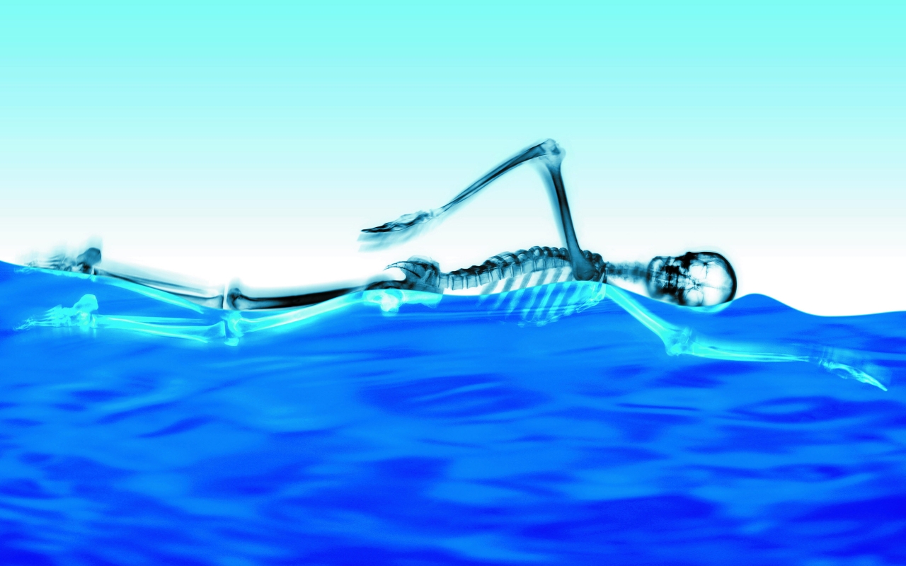 Swimming Skeleton for 1280 x 800 widescreen resolution
