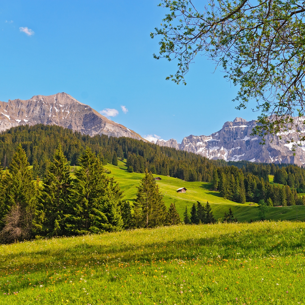 Switzerland Green Mountains for 1024 x 1024 iPad resolution