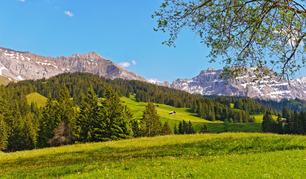 Switzerland Green Mountains for 1024 x 600 widescreen resolution