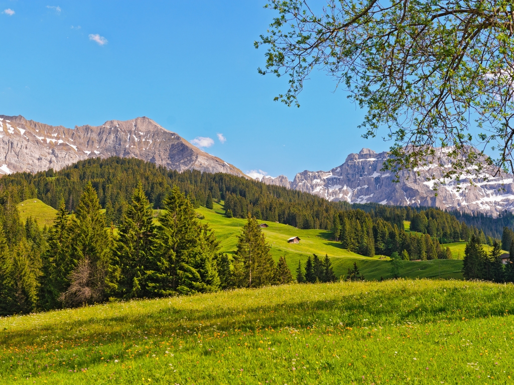 Switzerland Green Mountains for 1024 x 768 resolution