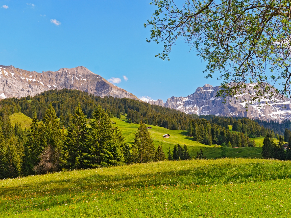 Switzerland Green Mountains for 1152 x 864 resolution