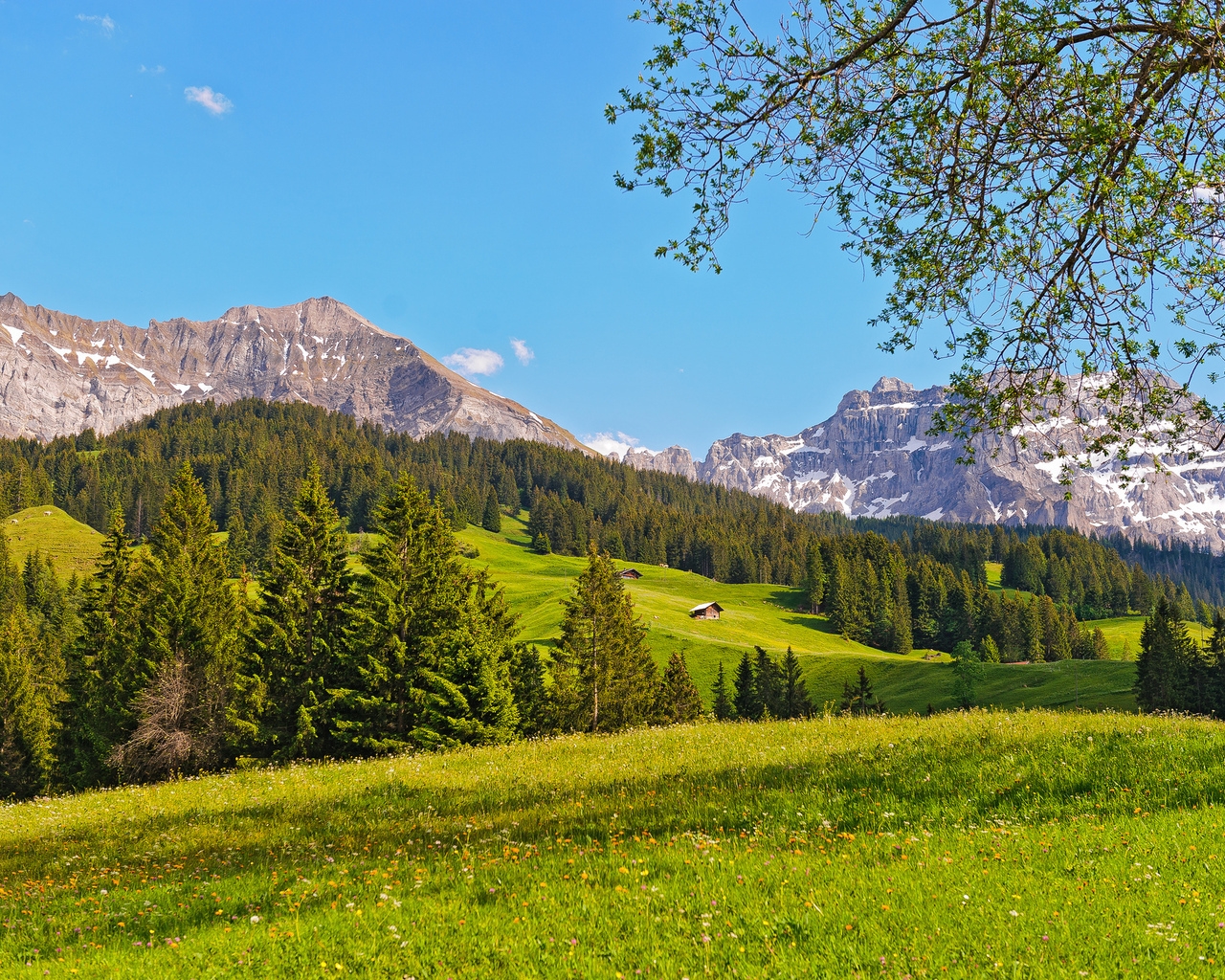 Switzerland Green Mountains for 1280 x 1024 resolution