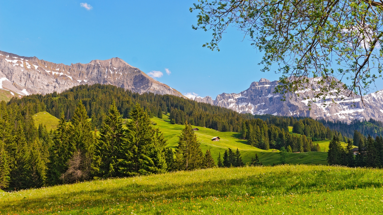 Switzerland Green Mountains for 1280 x 720 HDTV 720p resolution
