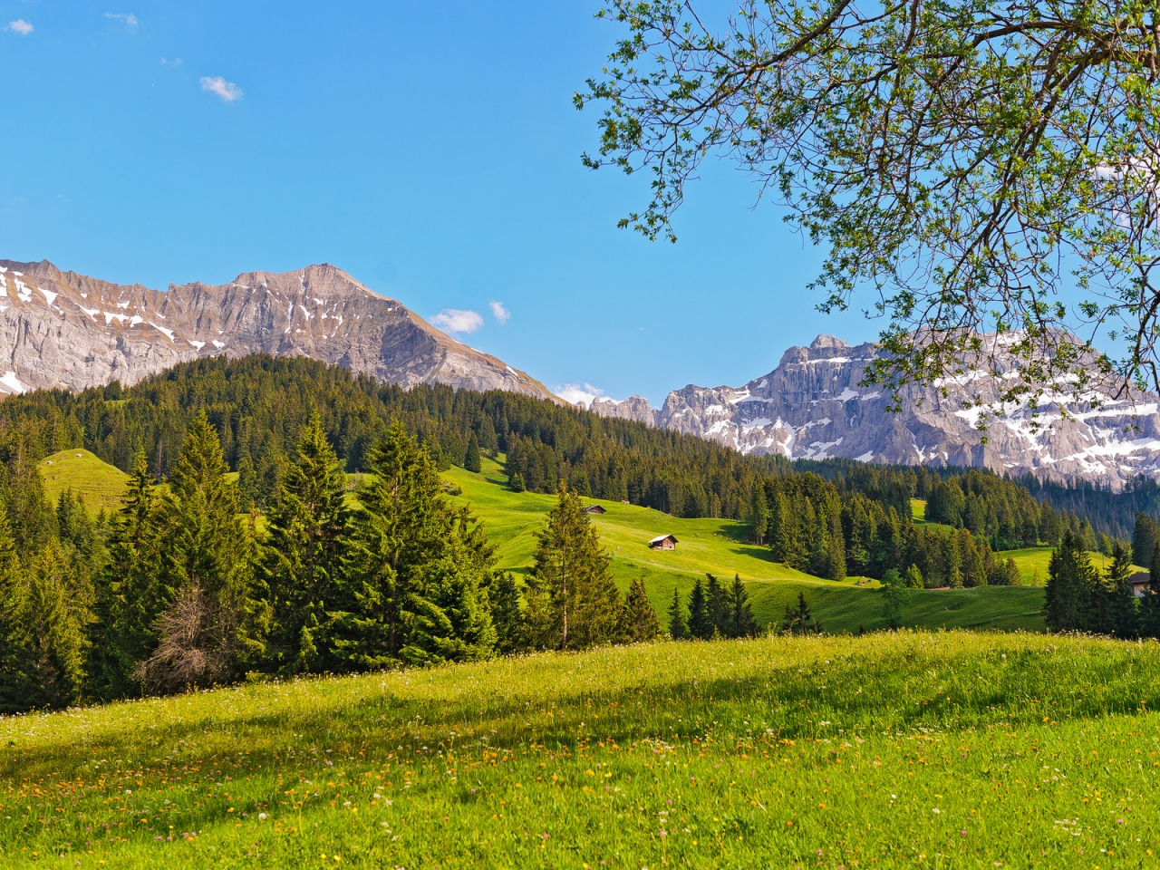 Switzerland Green Mountains for 1280 x 960 resolution
