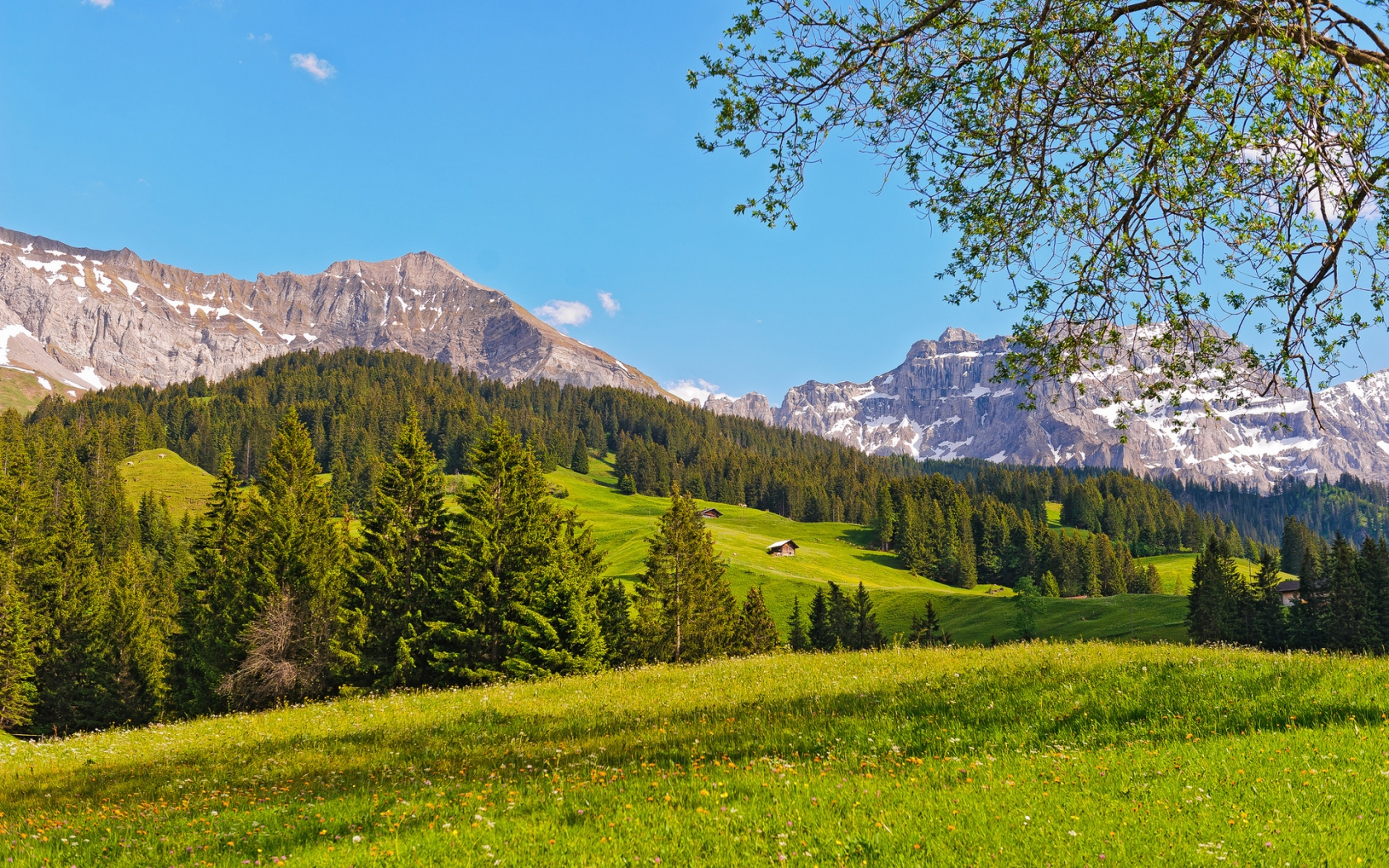 Switzerland Green Mountains for 1680 x 1050 widescreen resolution