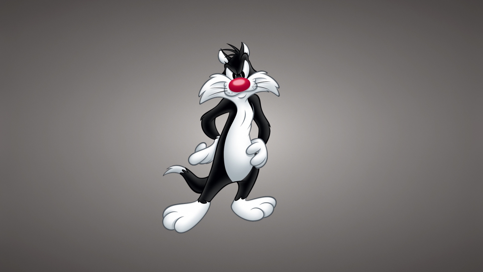 Sylvester the Cat  for 1600 x 900 HDTV resolution