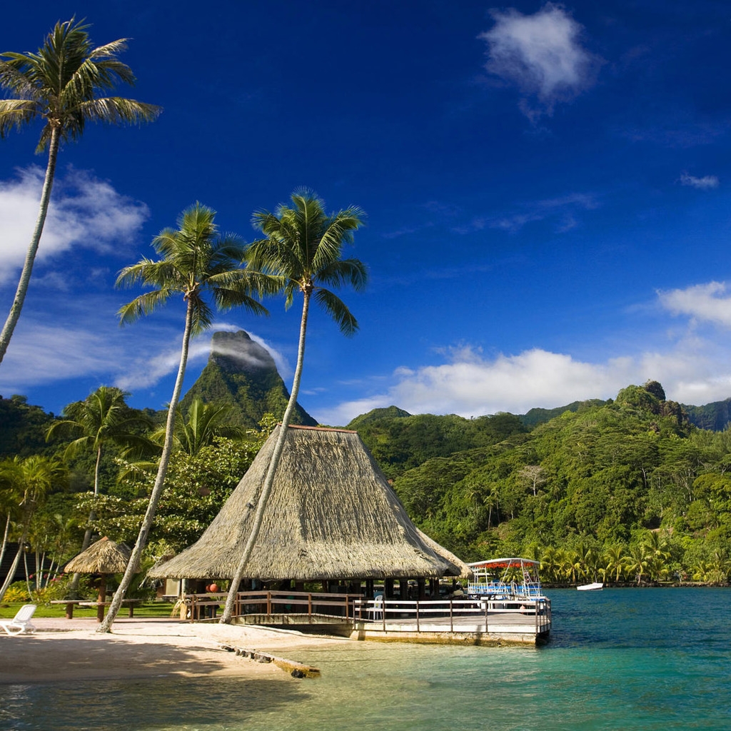 Tahiti Island for 1024 x 1024 iPad resolution