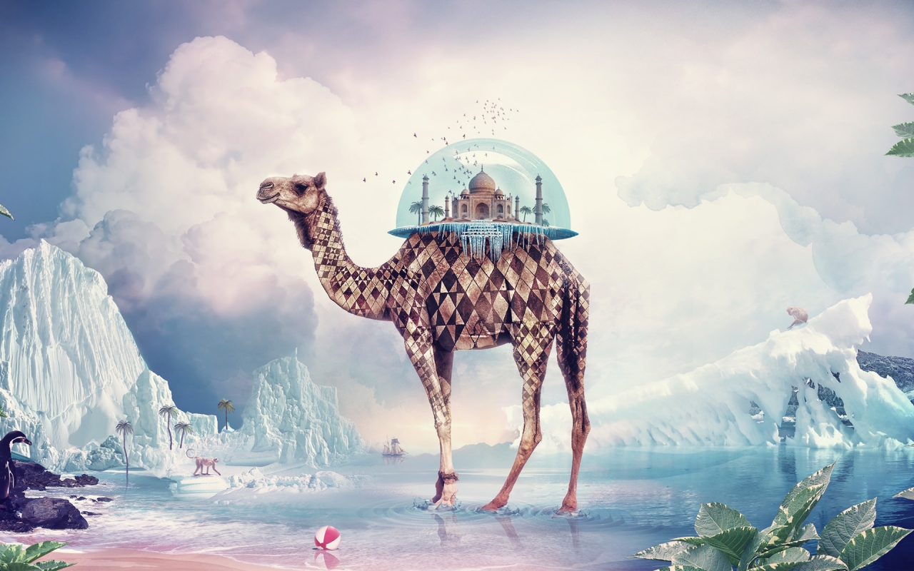 Taj Mahal Camel for 1280 x 800 widescreen resolution