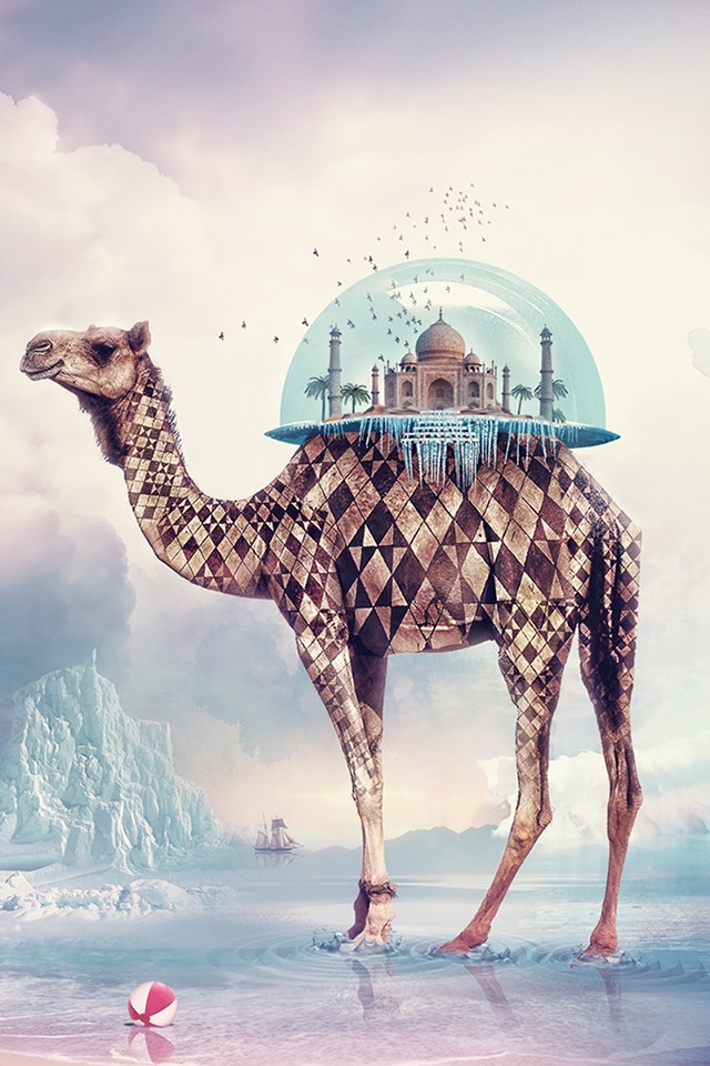 Taj Mahal Camel for 640 x 960 iPhone 4 resolution