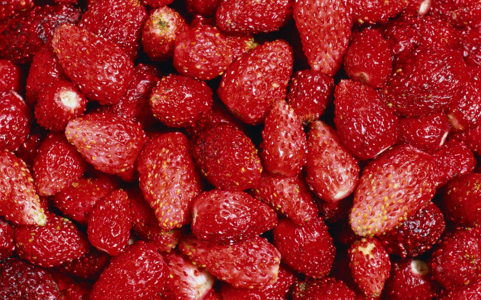 Tasty Strawberry for 1680 x 1050 widescreen resolution