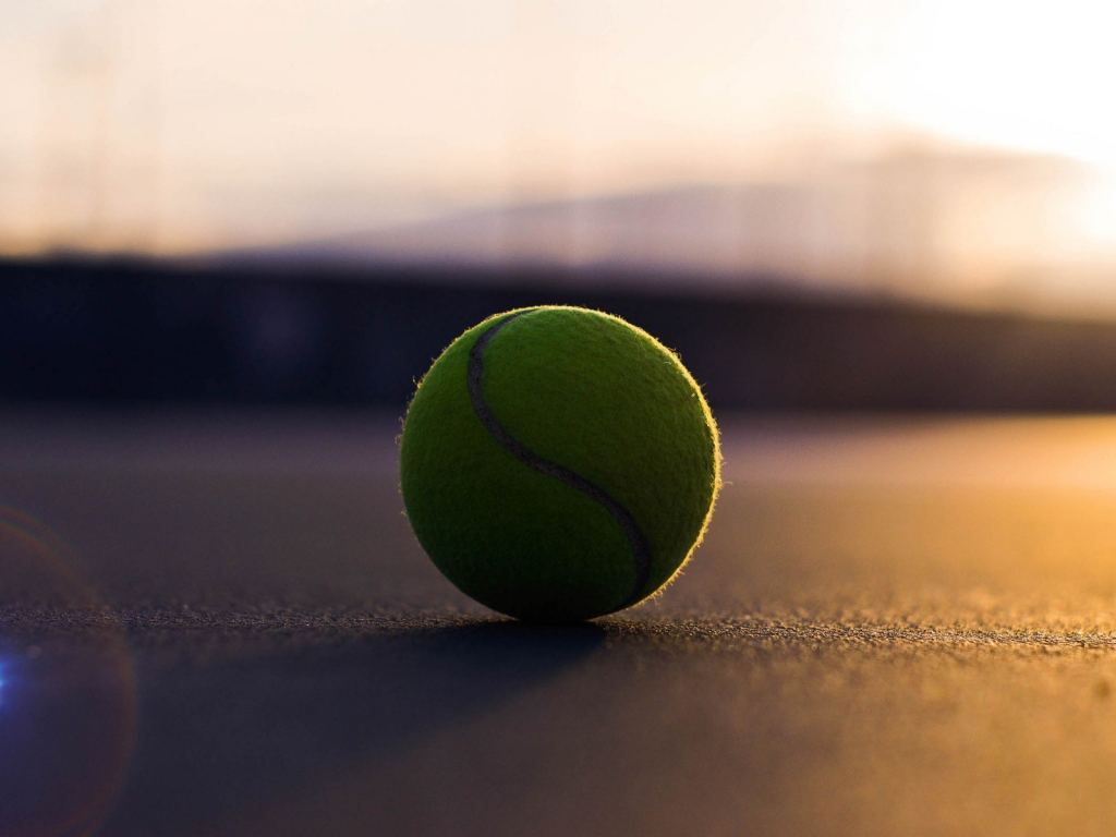 Tennis Ball for 1024 x 768 resolution