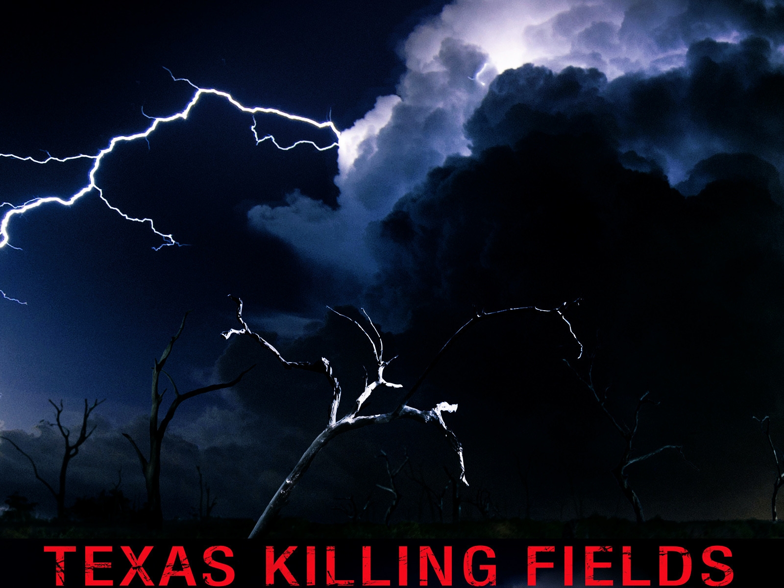 Texas Killing Fields Poster for 1600 x 1200 resolution