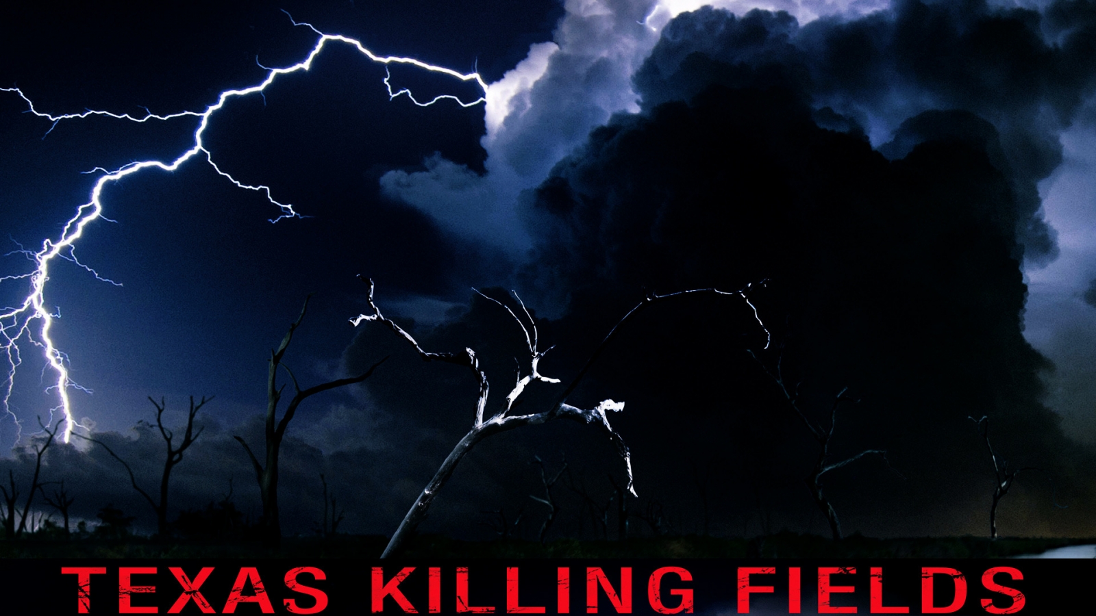 Texas Killing Fields Poster for 1600 x 900 HDTV resolution